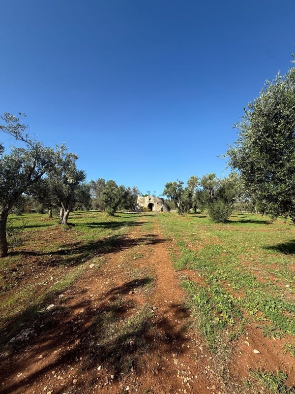 appartamento in vendita a Carovigno