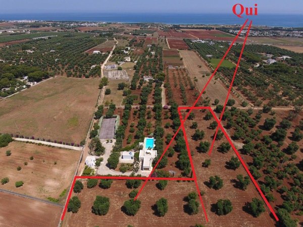 casa indipendente in vendita a Carovigno