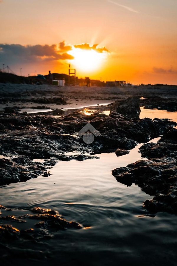 terreno agricolo in vendita a Carovigno