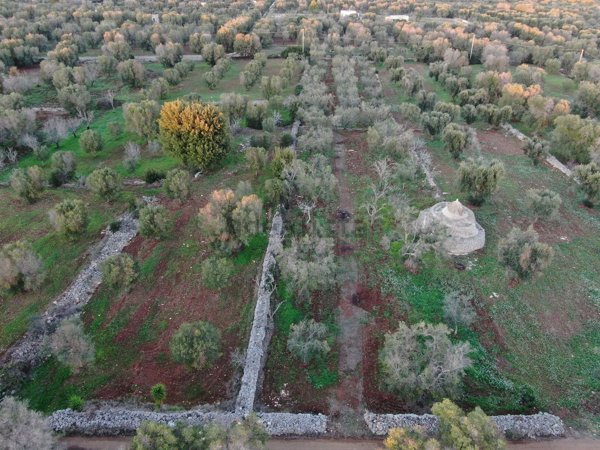 casa indipendente in vendita a Carovigno