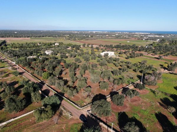 casa indipendente in vendita a Carovigno