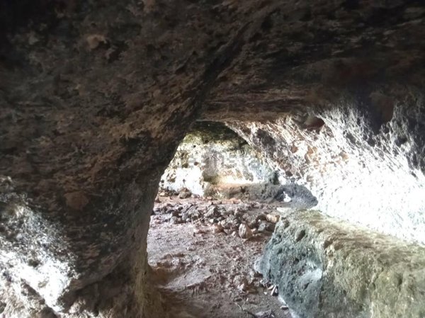 terreno agricolo in vendita a Carovigno