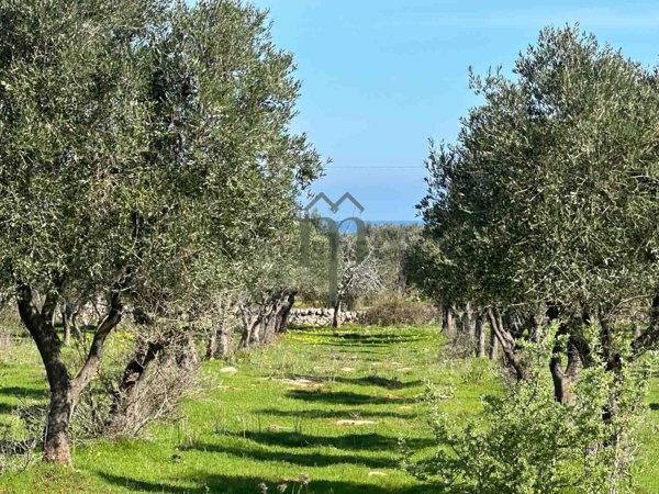 terreno agricolo in vendita a Carovigno