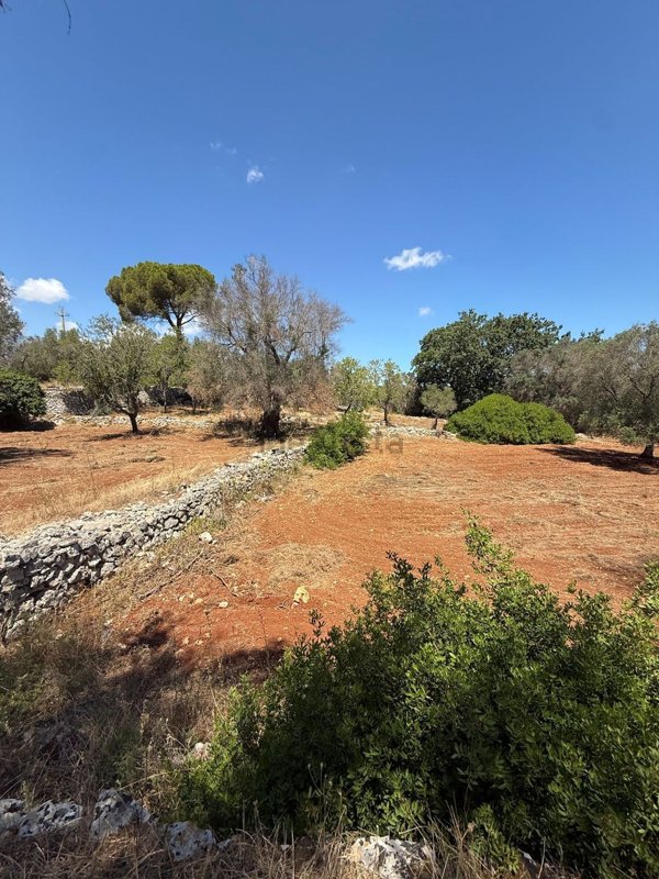 casa indipendente in vendita a Carovigno