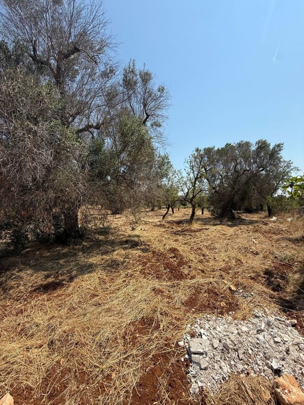 monolocale in vendita a Carovigno