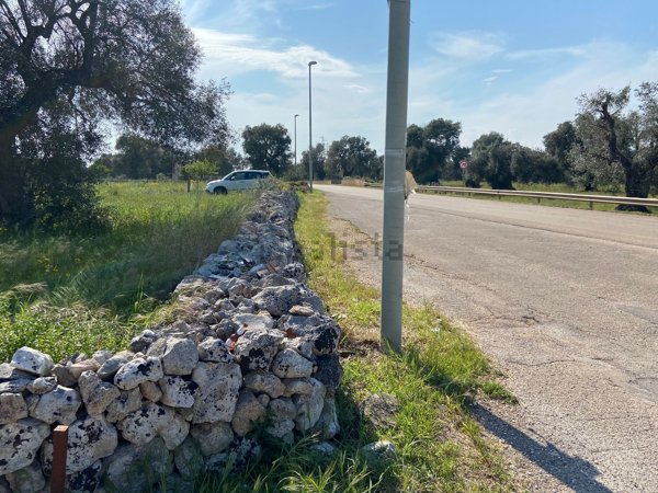 casa indipendente in vendita a Carovigno