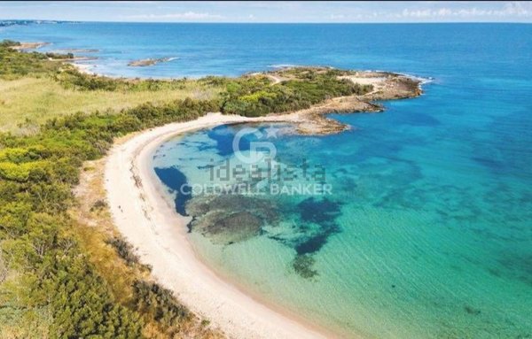 terreno agricolo in vendita a Carovigno in zona Serranova