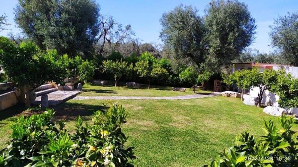 casa indipendente in vendita a Carovigno