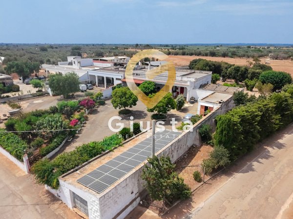 casa indipendente in vendita a Carovigno