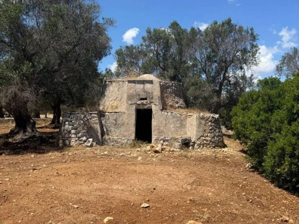 terreno agricolo in vendita a Carovigno