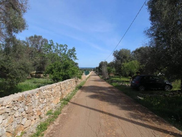 terreno agricolo in vendita a Carovigno