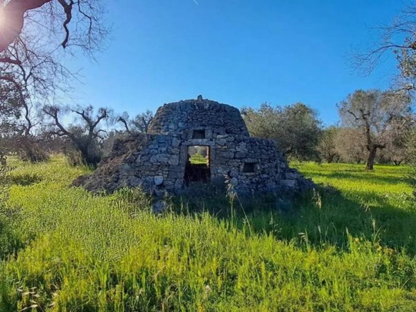 casa indipendente in vendita a Carovigno