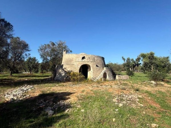 terreno agricolo in vendita a Carovigno