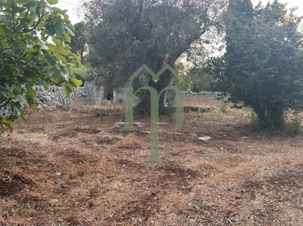 terreno agricolo in vendita a Carovigno