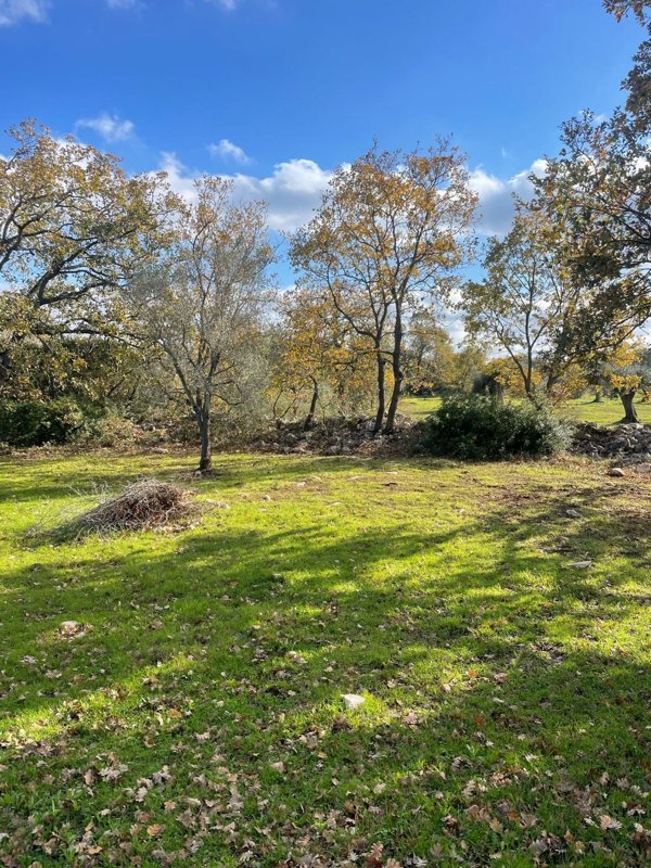 casa indipendente in vendita a Carovigno