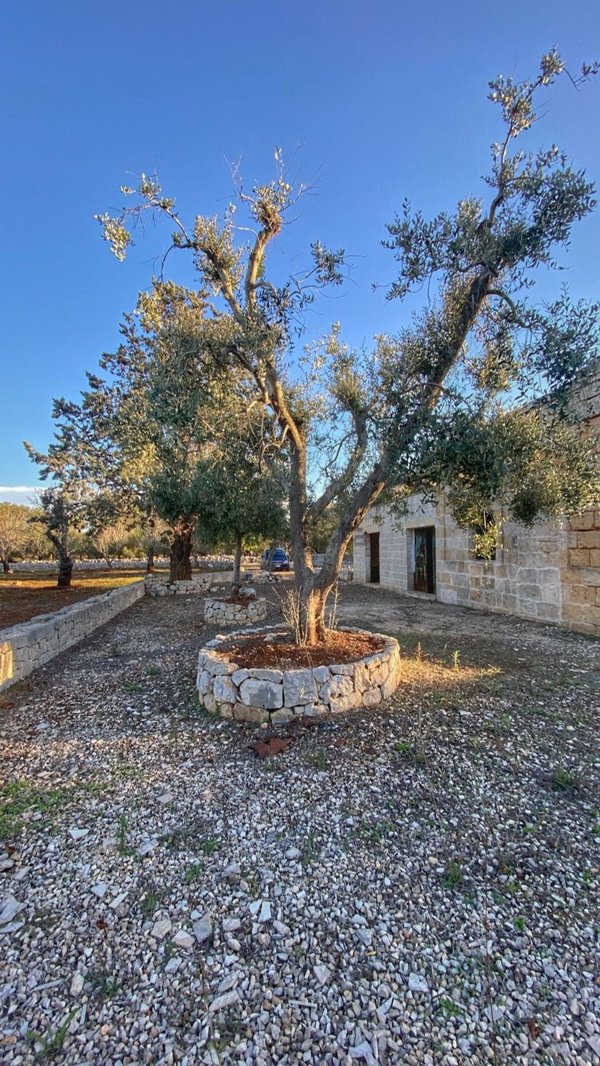 appartamento in vendita a Carovigno