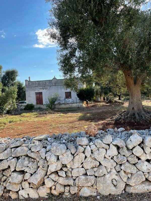 appartamento in vendita a Carovigno