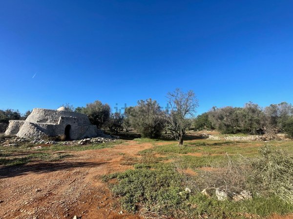 appartamento in vendita a Carovigno