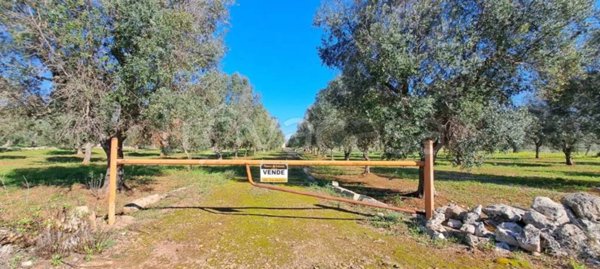casa indipendente in vendita a Carovigno