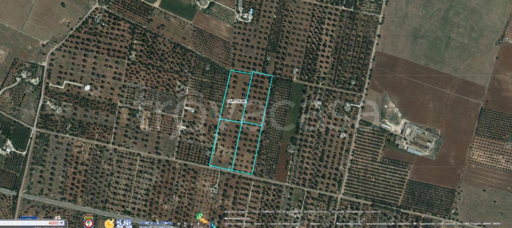 azienda agricola in vendita a Carovigno