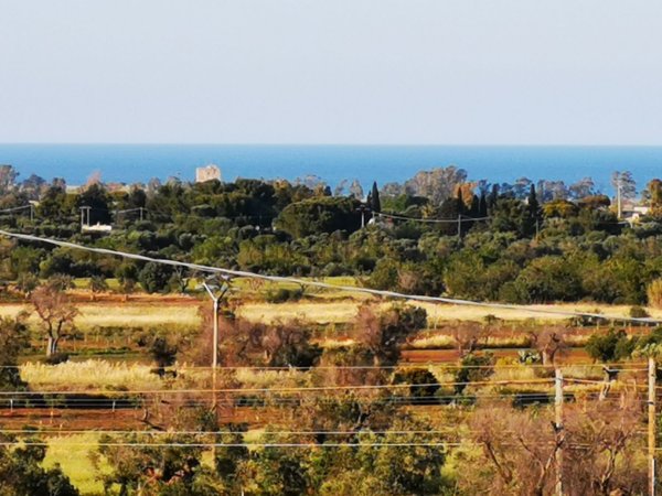 casa indipendente in vendita a Carovigno in zona Serranova