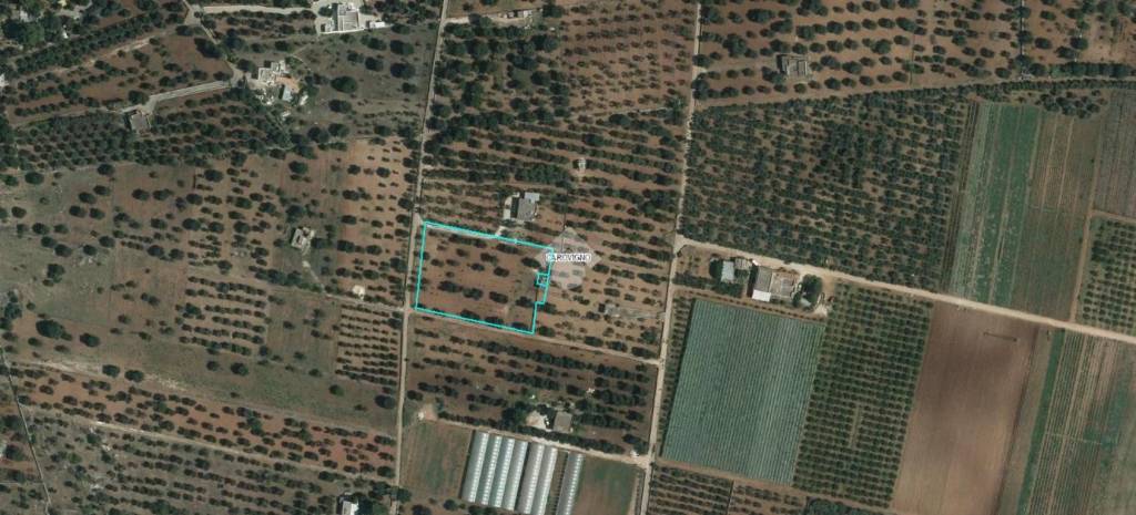 casa indipendente in vendita a Carovigno