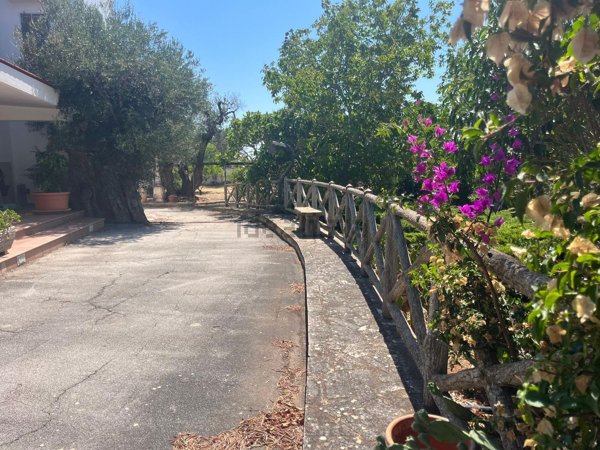 casa indipendente in vendita a Carovigno