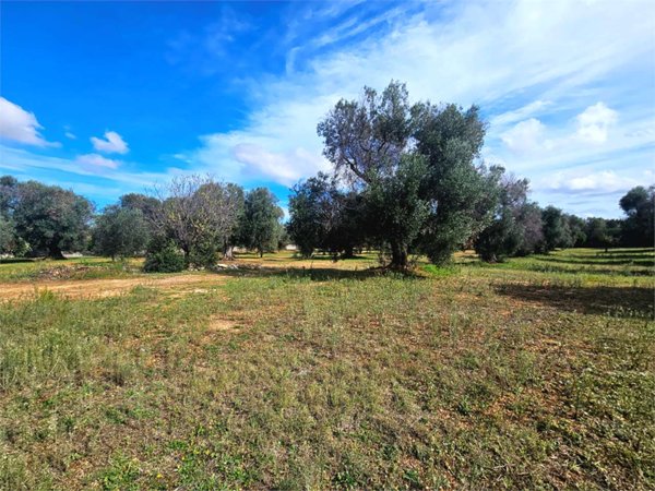 casa indipendente in vendita a Carovigno