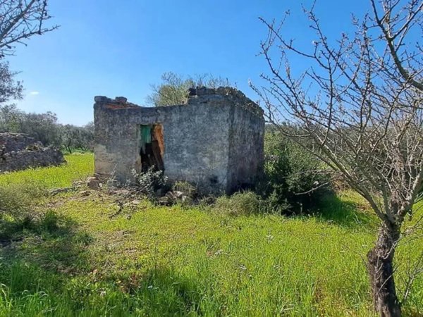 casa indipendente in vendita a Carovigno