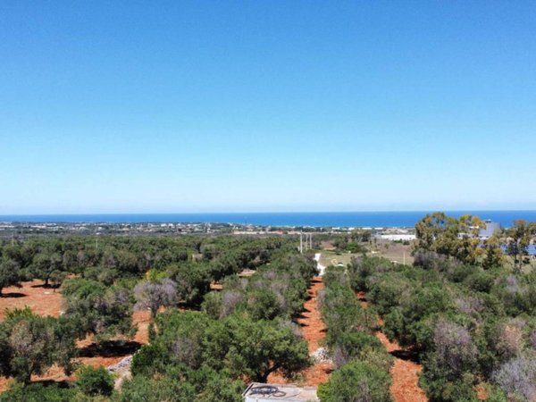 terreno agricolo in vendita a Carovigno