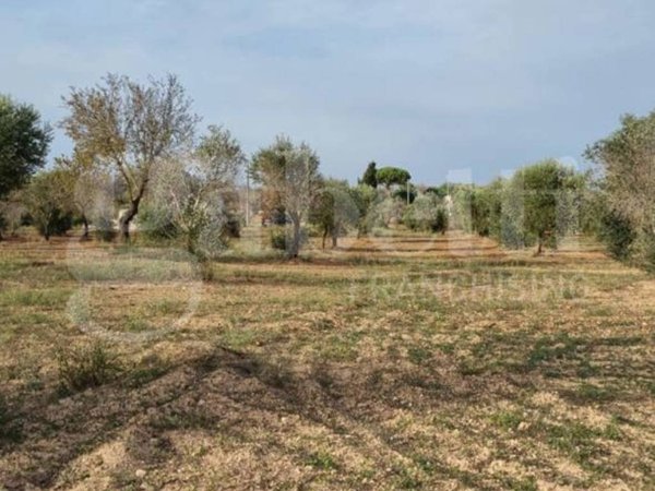 casa indipendente in vendita a Carovigno