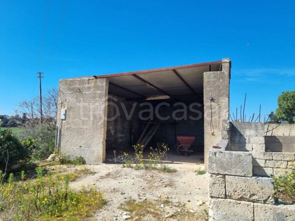 appartamento in vendita a Carovigno