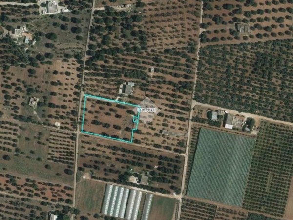 casa indipendente in vendita a Carovigno