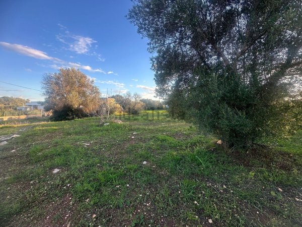 appartamento in vendita a Carovigno