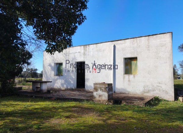 appartamento in vendita a Carovigno