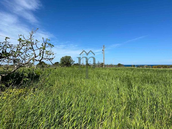 appartamento in vendita a Carovigno