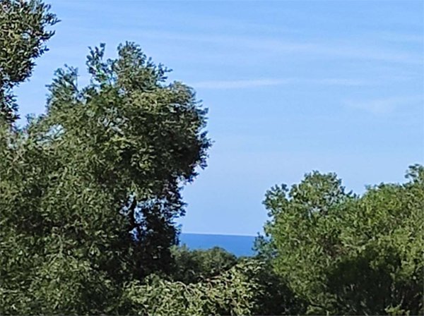 terreno edificabile in vendita a Carovigno