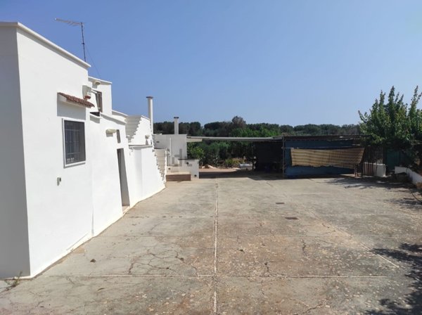 pentavano in vendita a Carovigno