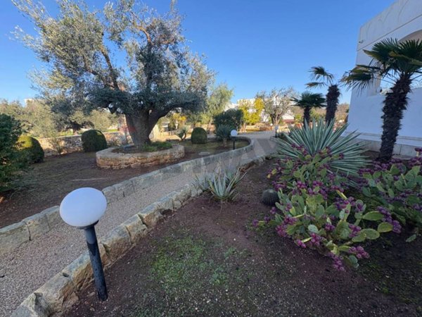 casa indipendente in vendita a Carovigno in zona Serranova