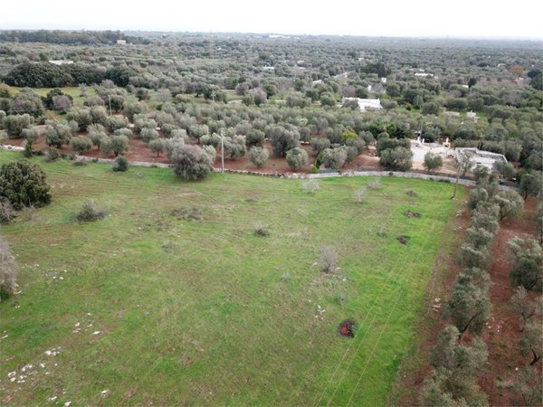 casa indipendente in vendita a Carovigno