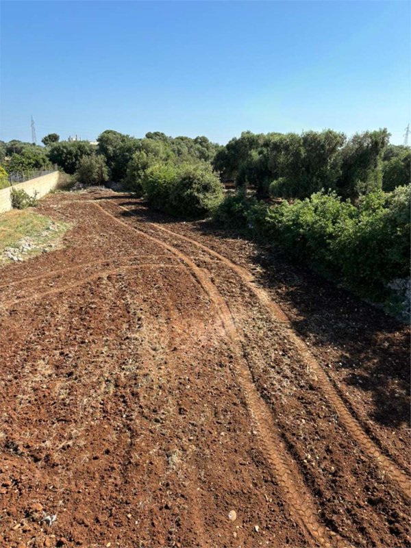 casa indipendente in vendita a Carovigno
