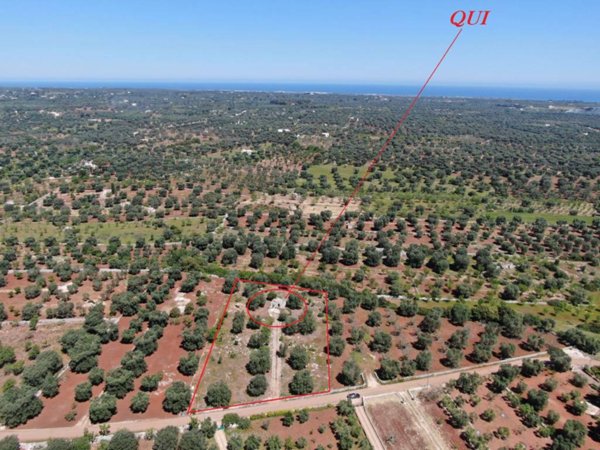 casa indipendente in vendita a Carovigno