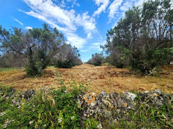 casa indipendente in vendita a Carovigno