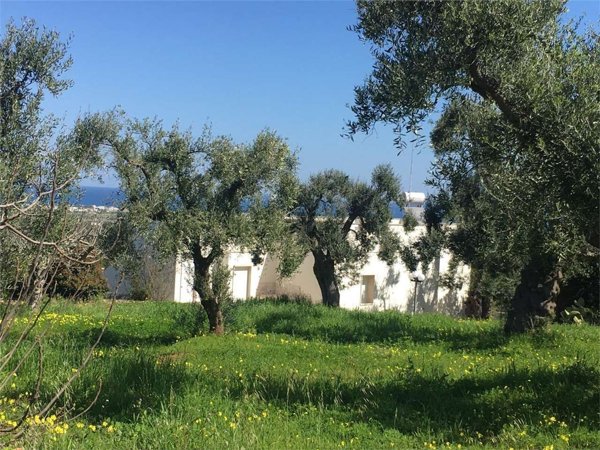 casa indipendente in vendita a Carovigno