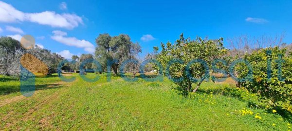 casa indipendente in vendita a Carovigno