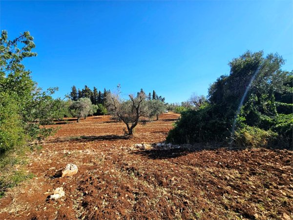 casa indipendente in vendita a Carovigno