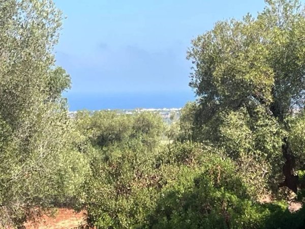 terreno agricolo in vendita a Carovigno