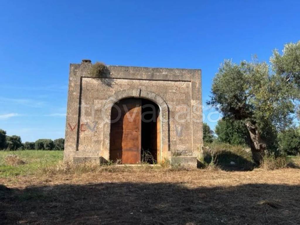 terreno agricolo in vendita a Carovigno in zona Serranova