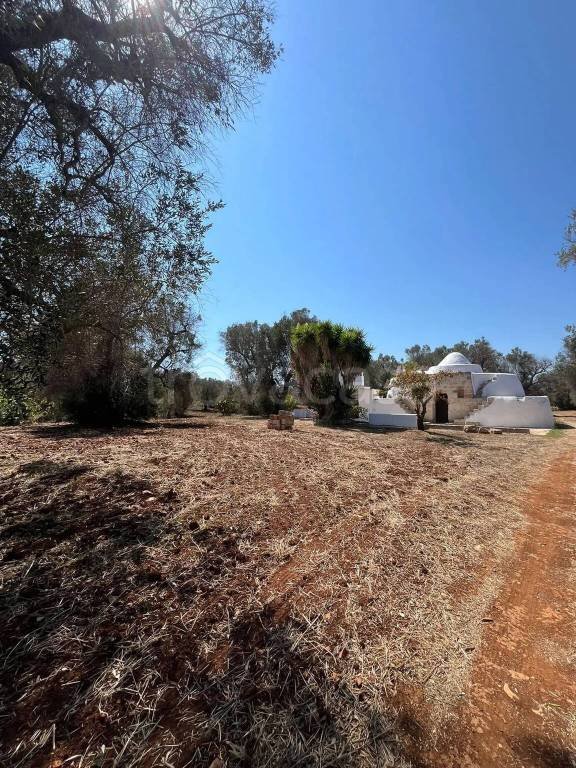 casa indipendente in vendita a Carovigno