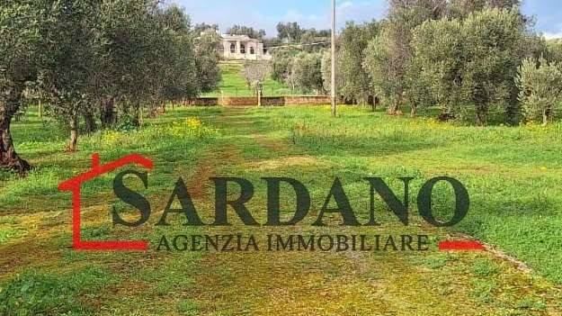 terreno agricolo in vendita a Carovigno